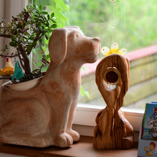 arrangement-mit-fensterblick-beim-tierarzt-dr-mix