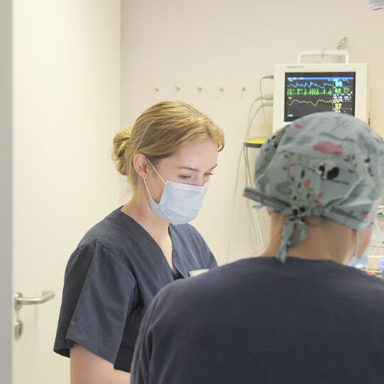 op-raum_beim_tierarzt_dr_mix